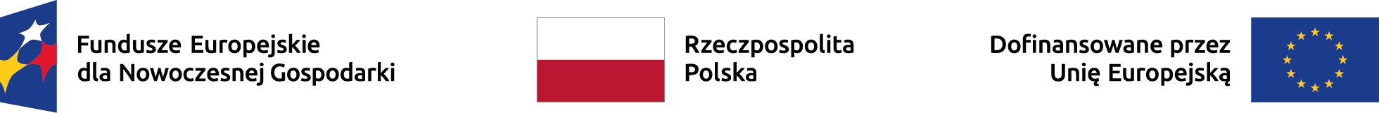 Fundusze Europejskie dla Nowoczesnej Gospodarki · Rzeczpospolita Polska · Dofinansowane przez Unię Europejską